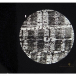 Ultra Structure of Animal Cells Microslide